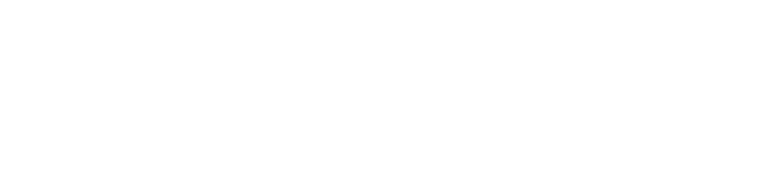 DOMINATE IGNITE MARKETING GROUP Logo - Original white