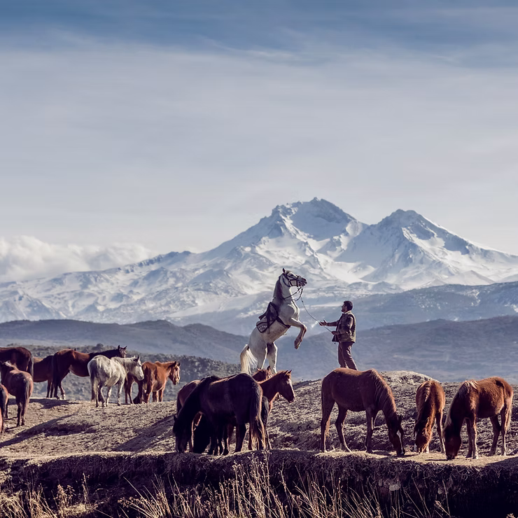 Read more about the article A Virginia Digital Marketing Company Guide: TikTok Marketing Unlocked