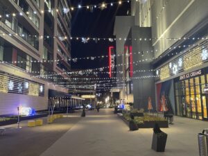 Read more about the article Google Advertising Companies in Virginia: How to Choose the Right Partner in 2025