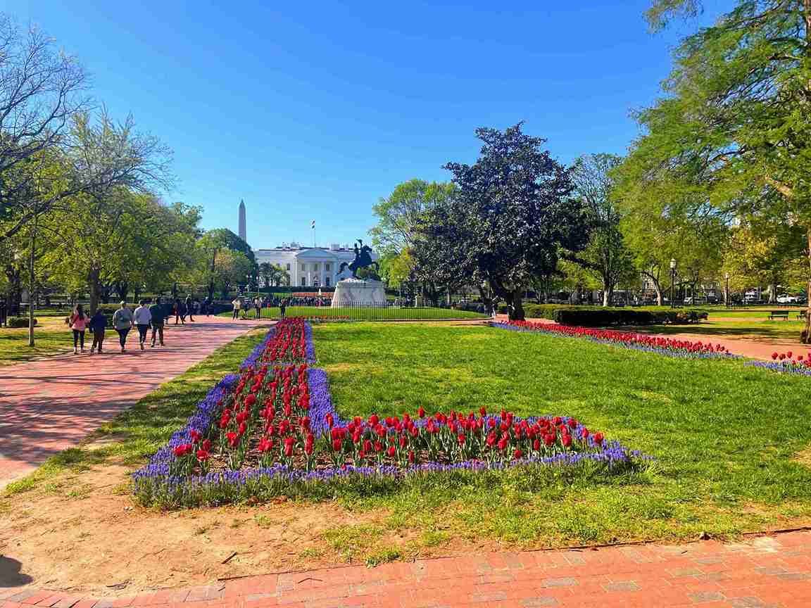 You are currently viewing A Virginia Digital Marketing Company: Unlock Your Competitive Edge