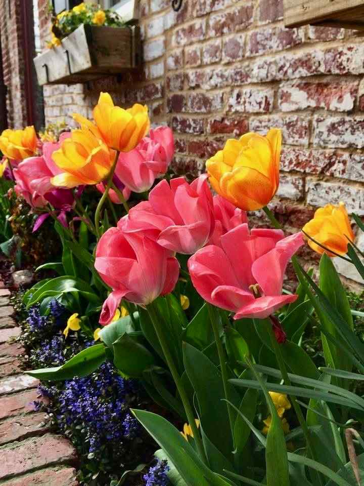 Read more about the article Virginia Digital Marketing Company Guide: PPC vs. SEO—Which Drives Better ROI?