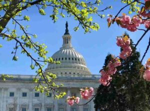 Read more about the article Virginia Digital Marketing Company Guide: The Future of Answer Engine Optimization (AEO) and SEO